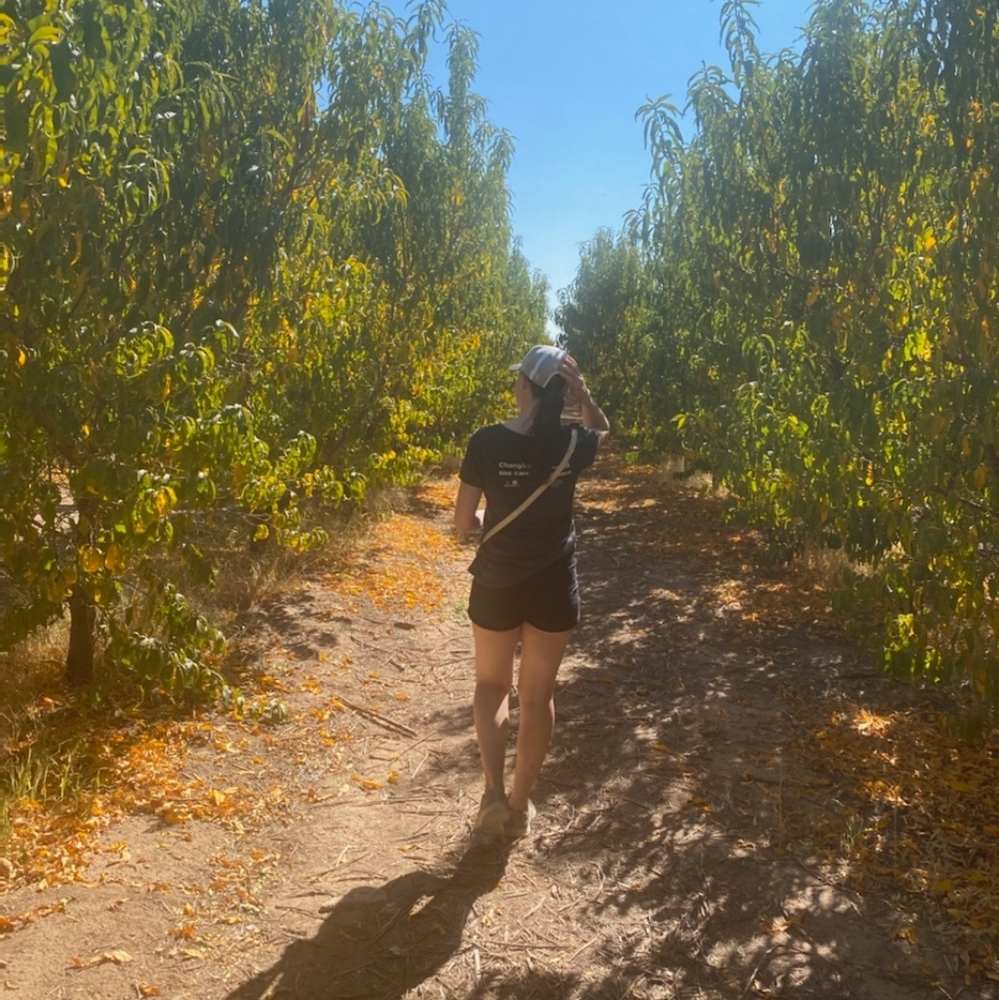 Meet your Posher, Alex